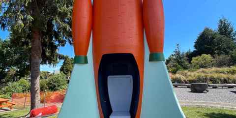 Ohakune Carrot Rocket Launch